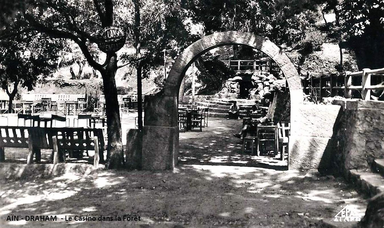 Ain-Draham - Le Casibno dans la Foret.jpg